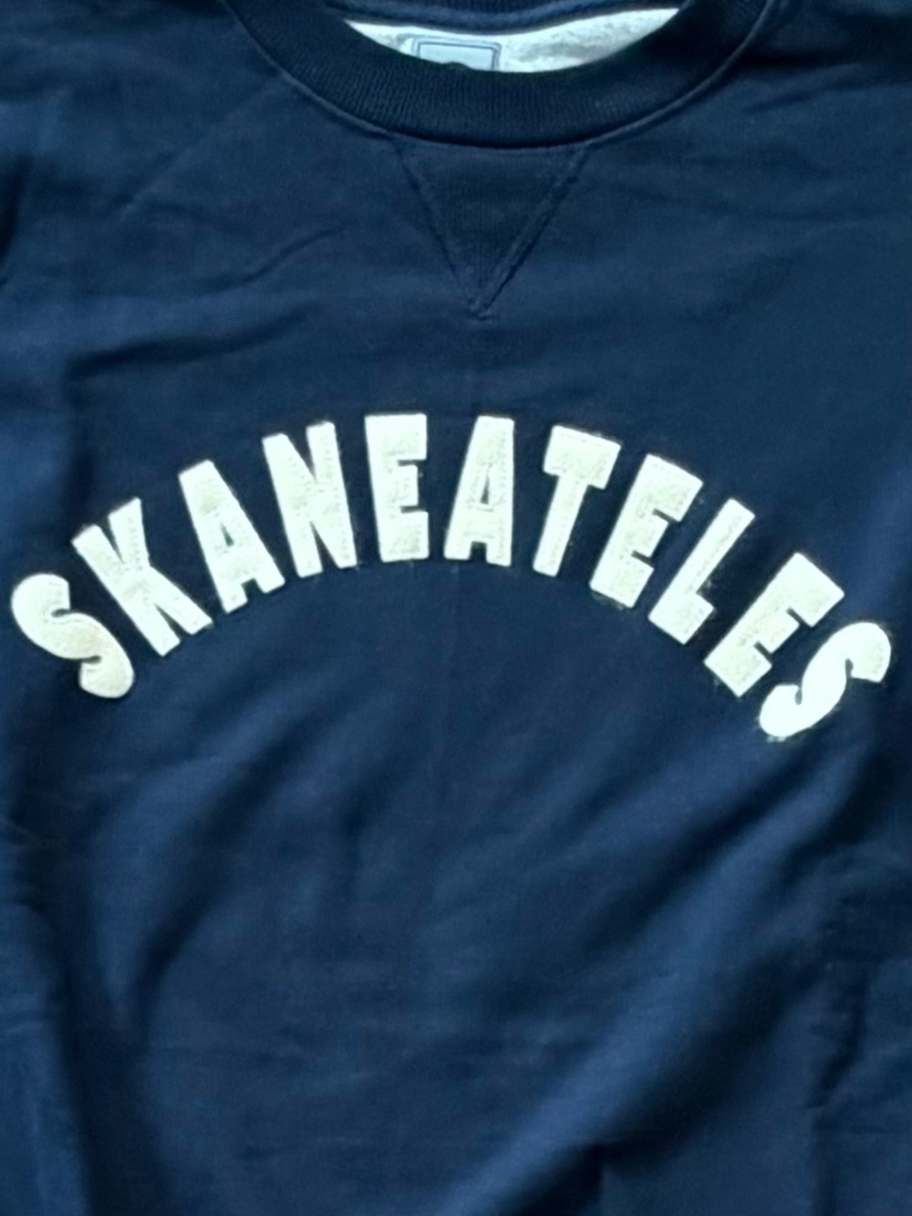 NWOT Champion Skaneateles Sweater Sweatshirt Navy Crewneck XL Collegiate Preppy - Picture 6 of 16